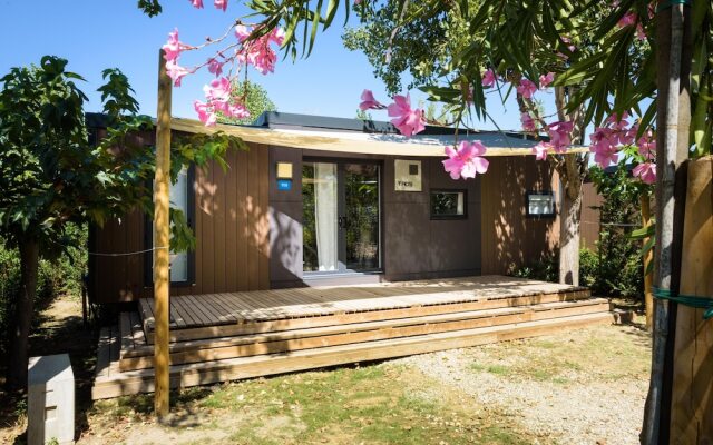 Camping de l'Espiguette