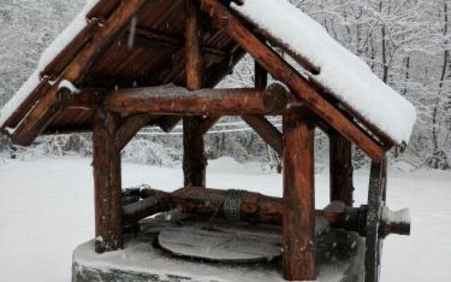 The Little Mountain Cabin