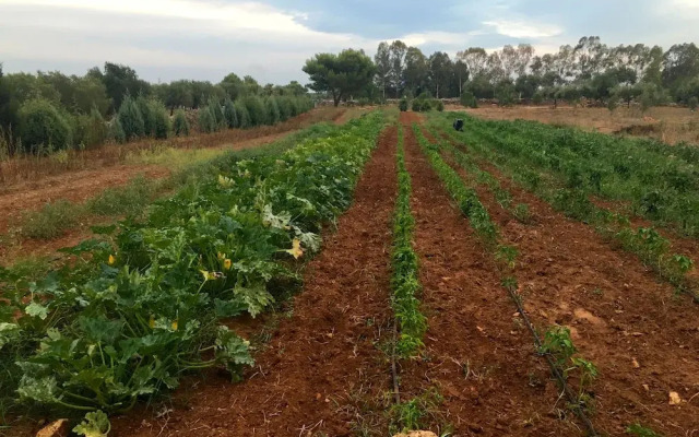 Grikò Country Hotel