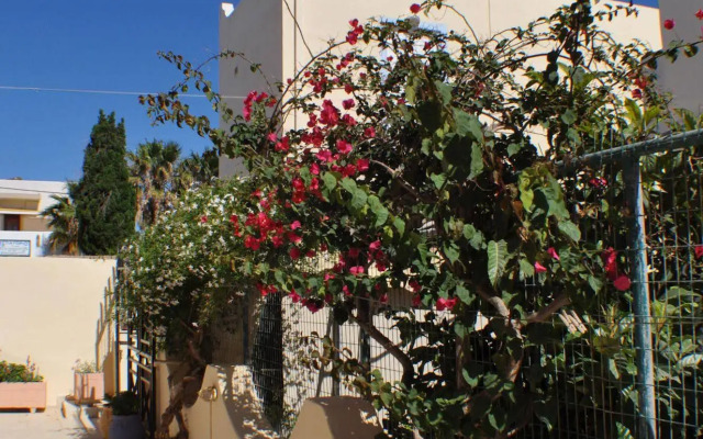 Zouboulia