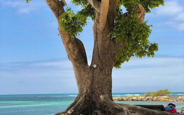 Anse des Rochers Beach & Pool Resort