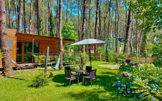 Kap-Kap in Kaprovani 50m to the beach 'BLUE'