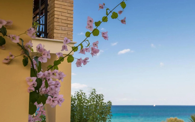 Calypso Studios