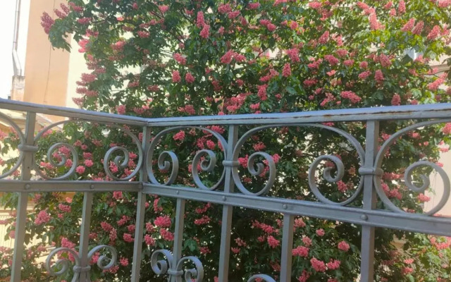 Palace Apartment by Main Station - Premier