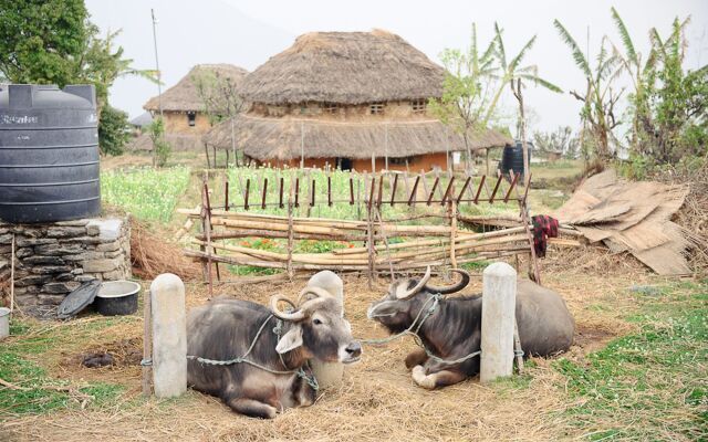 Hananoie-A Permaculture Resort