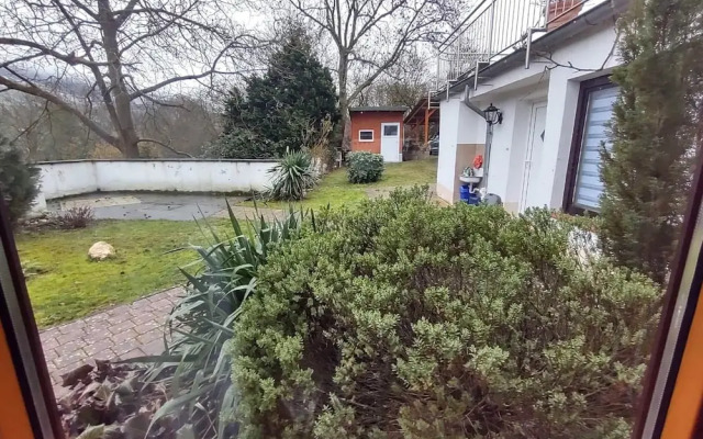 Apartment in Wehlen by Moselle Vineyards