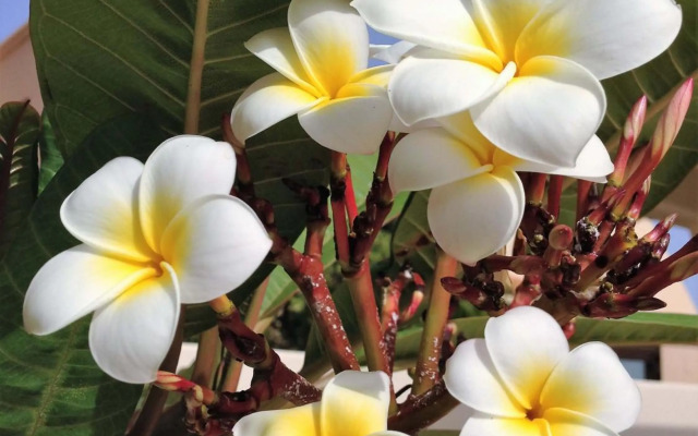 Villa Turquesa 3 Fuerteventura