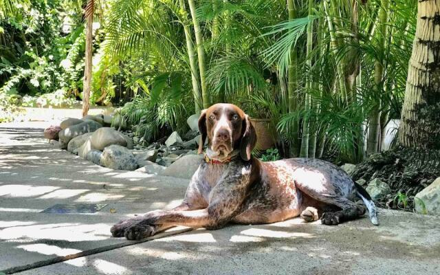 Villa Palomas A Unos Pasos De Playa La Ropa