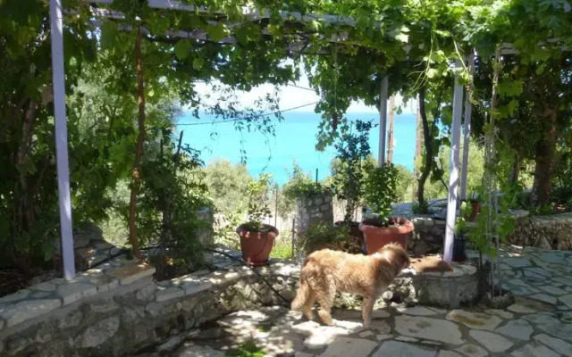 Araucaria Guesthouse