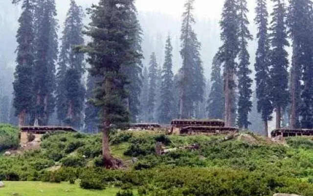 Paradise Camping Resort
