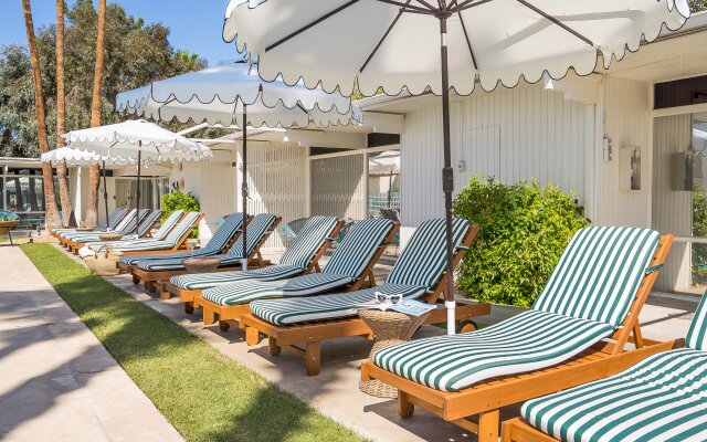 Monkey Tree Hotel 17