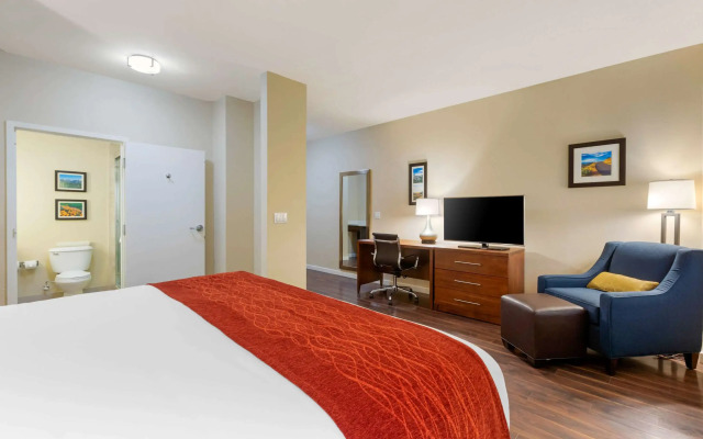 Comfort Inn & Suites near Ontario Airport