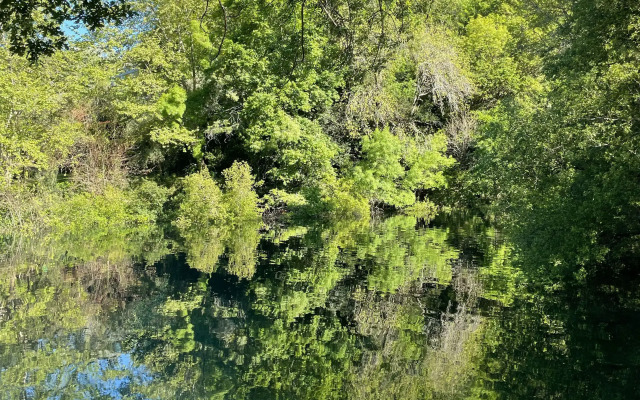 Quinta dos Carqueijais Gerês
