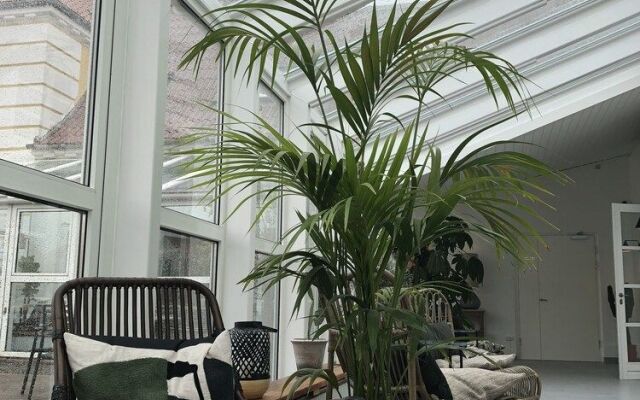 Hotel VANDret