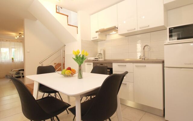 House 1559