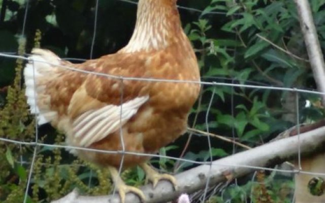 La Fermette Blanche