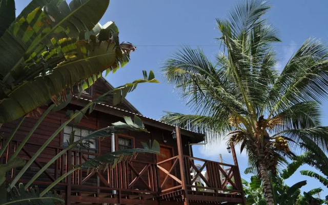 White Coconut Studio