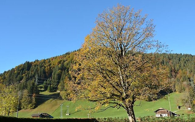 Apartment Oberland Nr. 7