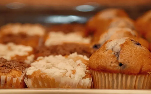 Best Western Copper Hills Inn