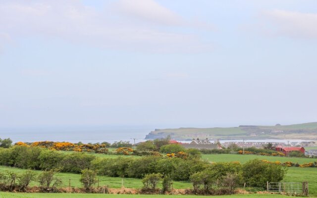 Causeway View