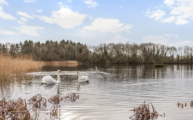 Stunning Lakeside Country Retreat near Cirencester