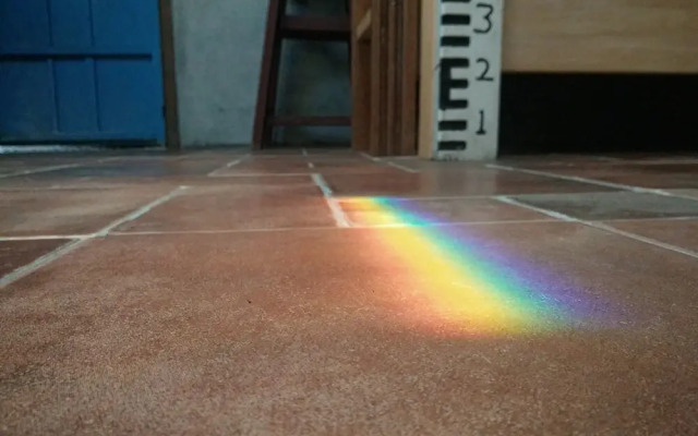 Pequeñas flores rojas - Dulan