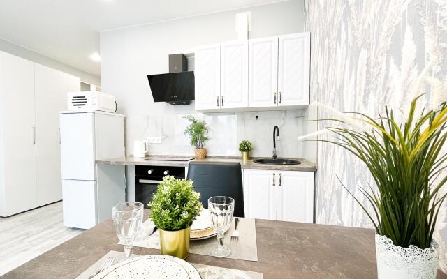 Апартаменты на улице Мечникова 41/53