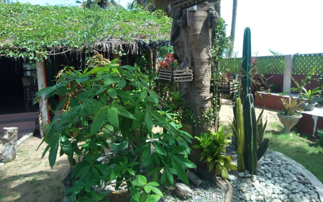 Casa Afrika