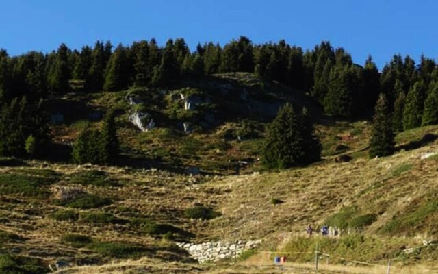 Arve Nr 4 2 Stock Riederalp