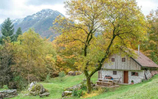 Miha lodge