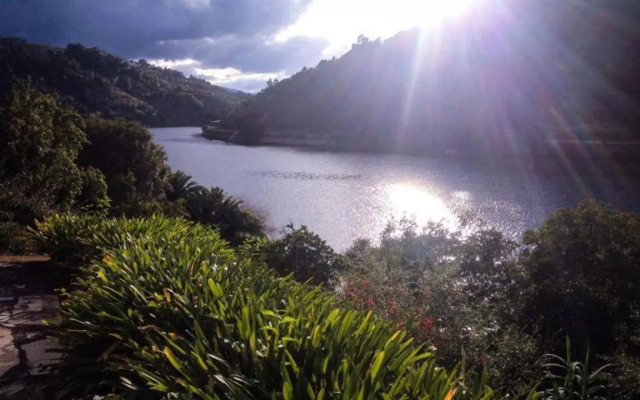 Casa da Figueira Velha