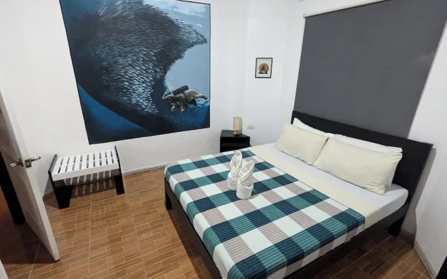 Crazy Bears Hostel