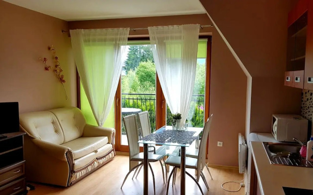 Apartament Kasprowy