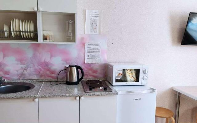 Апартаменты на проспекте Ибрагимова 61