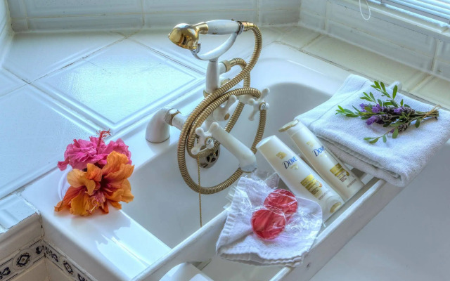 Tranquility Guest House