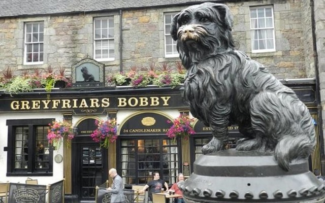 Greyfriars Bobby Home View Apartment Old Town