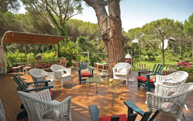 Beach Front Limonaia