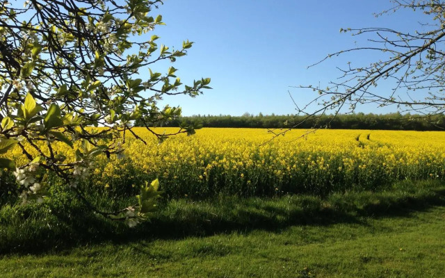 Ruheparadies Im Windfeld