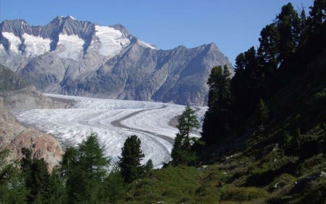 Amici 1. Stock Allegra