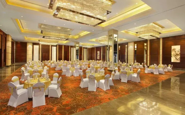 Seyfert Sarovar Premiere