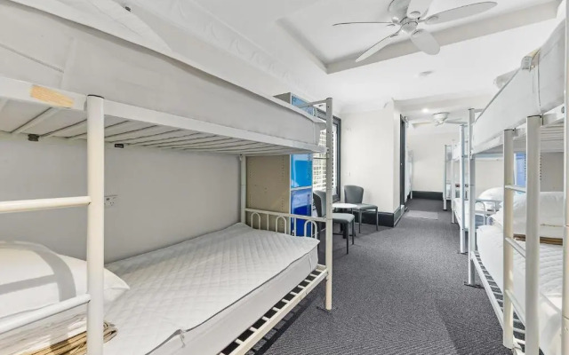 London Plane Backpackers - Hostel