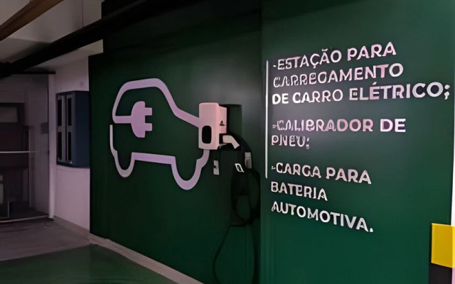 Studio Design 3 - Lions