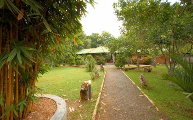 mastodon valley safari resort