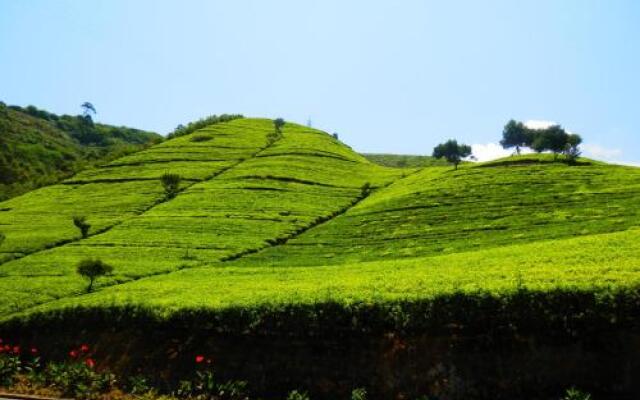 Nuwara Eliya Rosedale Bunglow