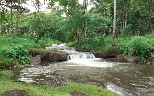 Dave Parker's Eco Lodge