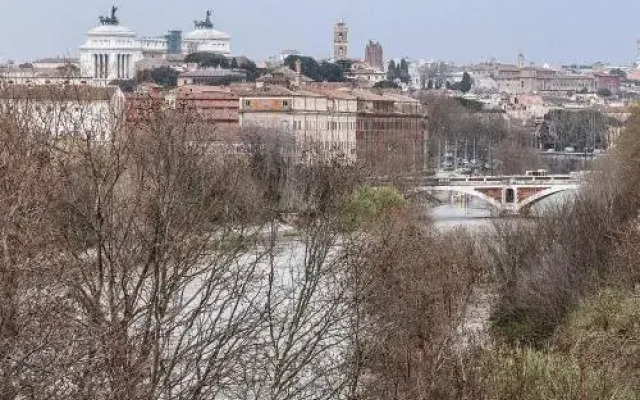 Porta Portese River Terrace