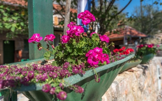 Holiday house Role - retro & afordable: Starigrad-Paklenica, Zadar riviera
