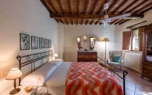 House Edera Campagnatico