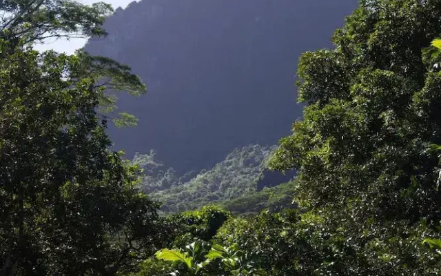 Fare Miri Miri in Moorea-maiao