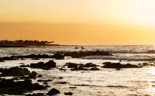 Fairmont Orchid